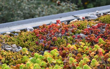 the cost of Doura green roof installation